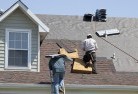 Tooligieskylights-2.jpg; ?>